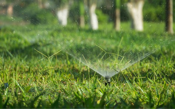 Sprinklers watering a green lawn under water conservation