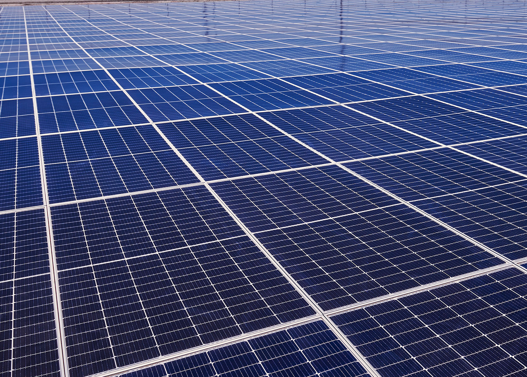 Community Solar Array Erthos