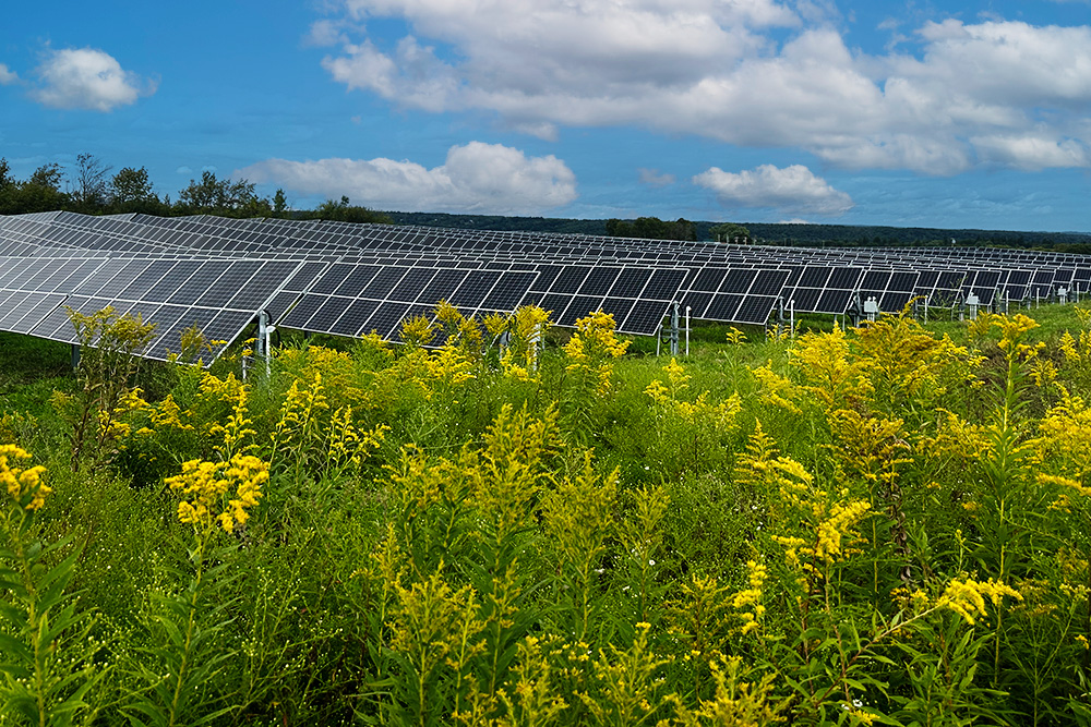 Environmentally Sustainable Solar