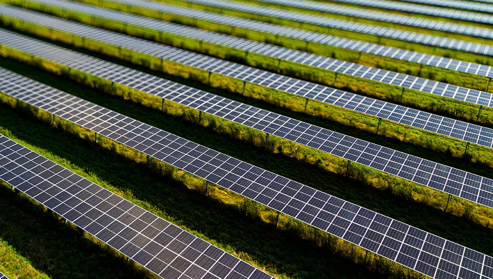 Close up of PureSky's Gouverneur I Solar Community Solar Farm in New York