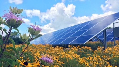 Amp Energy, Distributed Sun Partner on $100M+ NY Community Solar ...