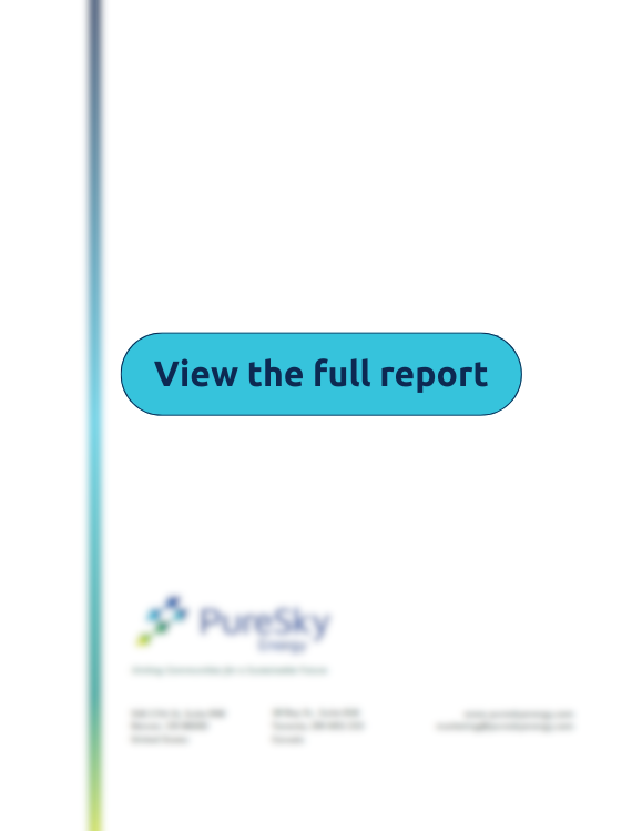 View the Full Report