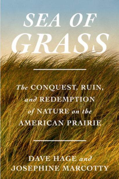 Book Cover - Sea of Grass