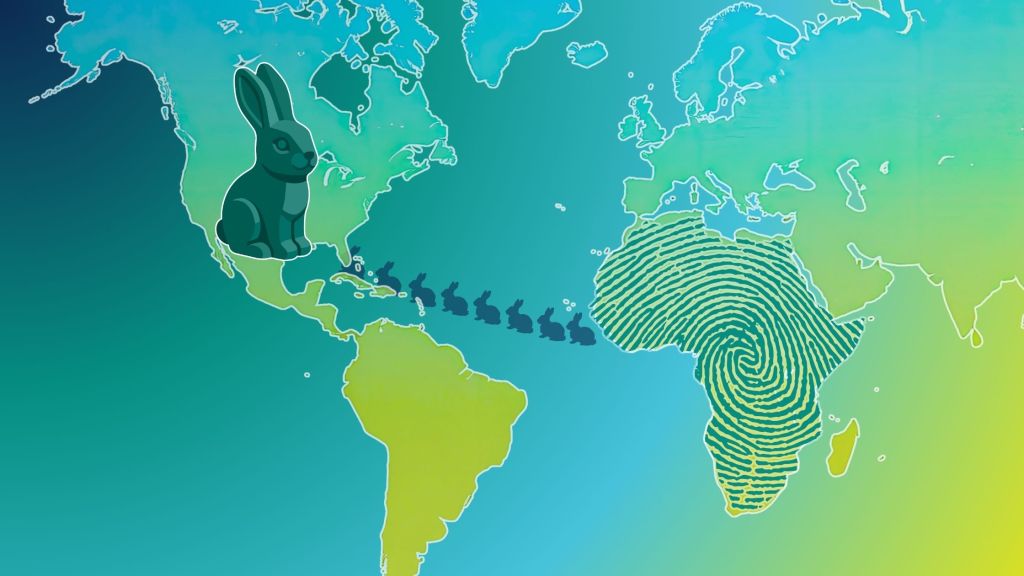 Sustainable Chocolate Isn’t a Vibe. It’s a Supply Chain.