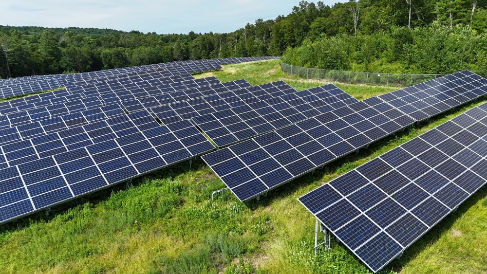 PureSky Energy Dudley Solar Farm with Ground Cover Grasses