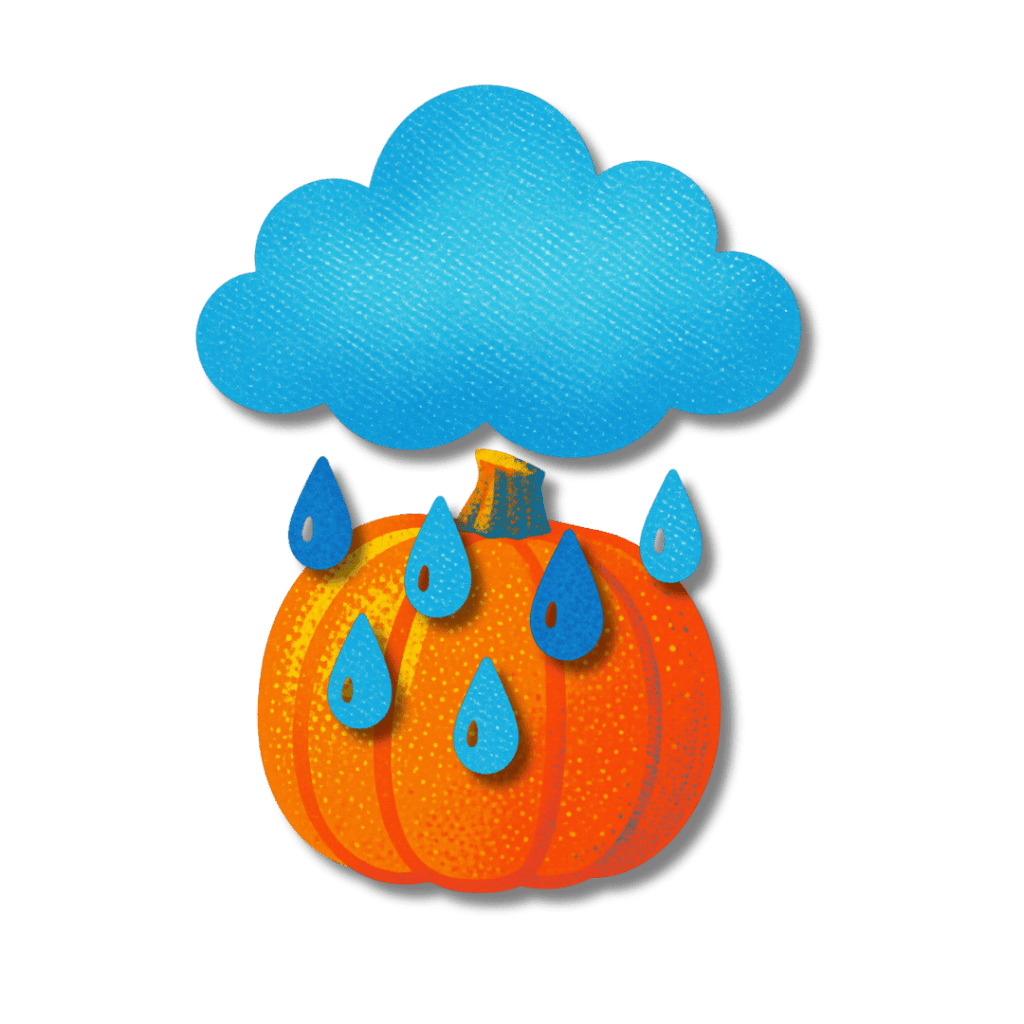 Ontario Has too Much Rain